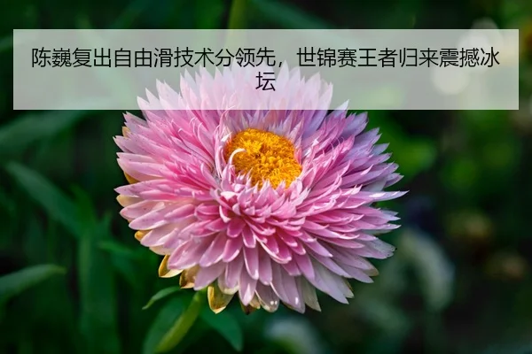 chen-wei-fu-chu-zi-you-hua-ji-shu-fen-ling-xian-shi-jin-sai-wang-zhe-gui-lai-zhen-han-bing-tan-3-586.jpg