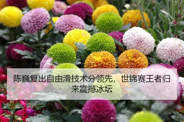 陈巍复出自由滑技术分领先，世锦赛王者归来震撼冰坛