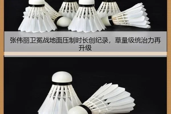 张伟丽卫冕战地面压制时长创纪录，草量级统治力再升级