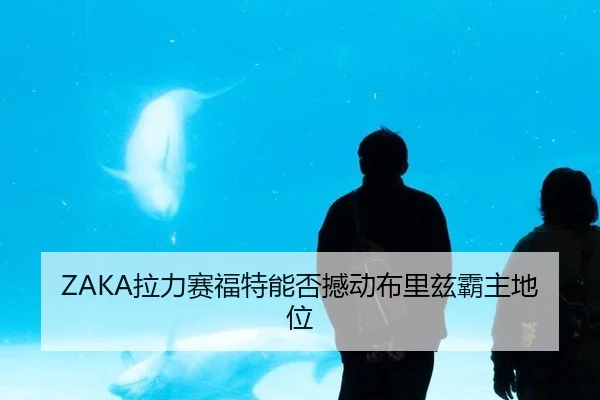 ZAKA拉力赛福特能否撼动布里兹霸主地位
