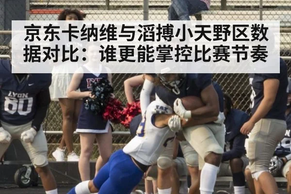 京东卡纳维与滔搏小天野区数据对比：谁更能掌控比赛节奏